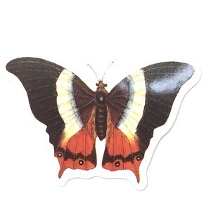 Butterfly Vinyl Sticker